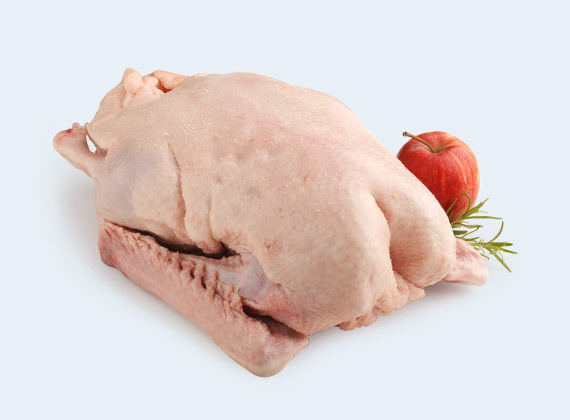 Pol. o. Ung. Gänse versch. Größen frost